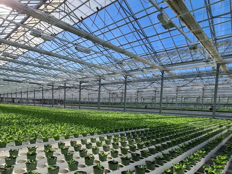 Greenhouse gutter systems for professional greenhouses
