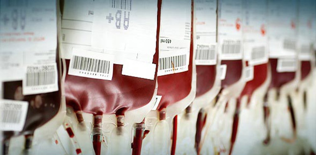 Next-Generation Blood Bags: Primo's PVC-Free Solution